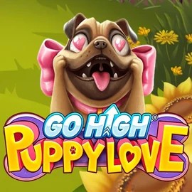 Go High Puppy Love game by RubyPlay – logo hosted on Legiano Casino